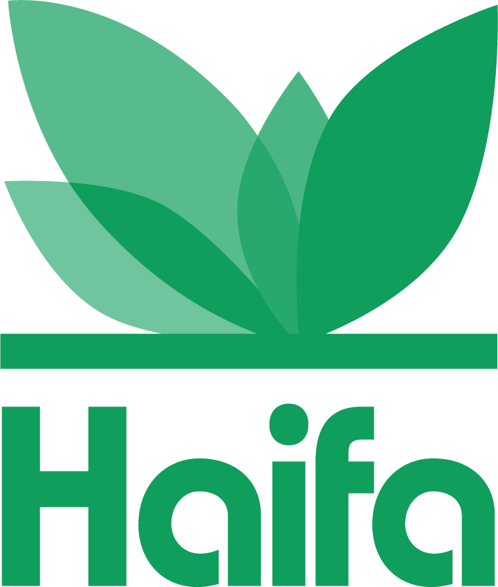 Haifa